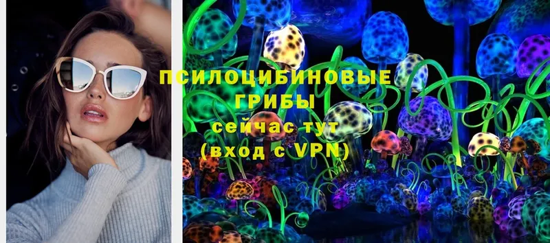 наркошоп  Байкальск  Галлюциногенные грибы MAGIC MUSHROOMS 